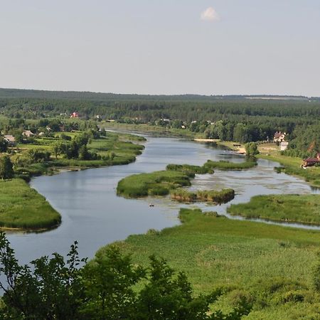 Гостевой дом Maliovnytsya Dybintsy Экстерьер фото