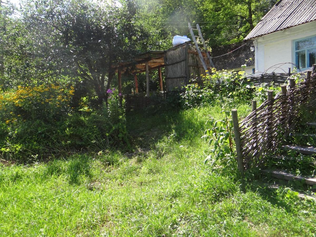 Гостевой дом Maliovnytsya Dybintsy Экстерьер фото