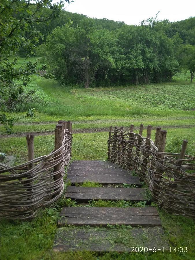 Гостевой дом Maliovnytsya Dybintsy Экстерьер фото