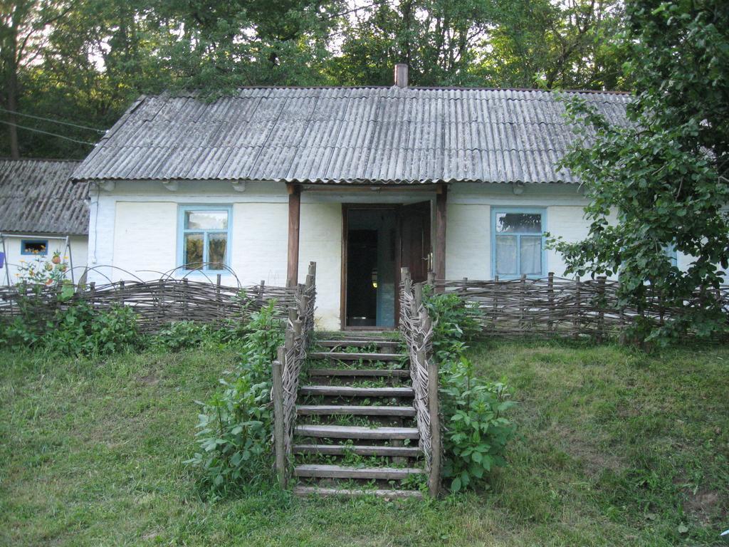 Гостевой дом Maliovnytsya Dybintsy Экстерьер фото