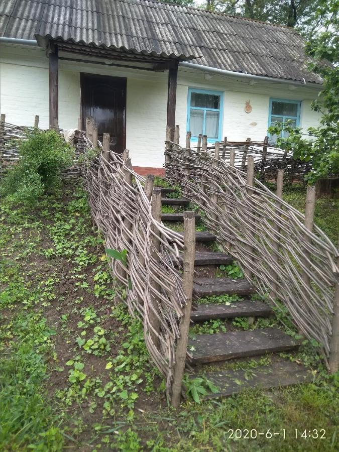 Гостевой дом Maliovnytsya Dybintsy Экстерьер фото